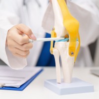 Healing with Chiropractic - MAY | The American Chiropractor